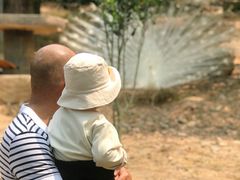 -泉州海丝野生动物世界