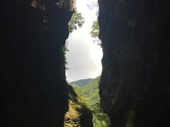 -牛背梁国家森林公园