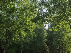 -仙海旅游度假区