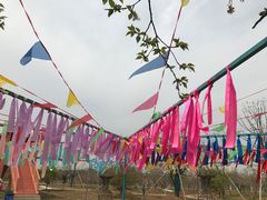 -天王浮山樱花园