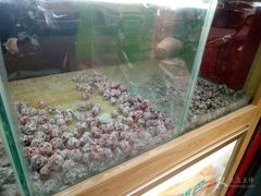 -黑孩油栗皇(南阳路店)