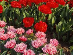 -玄武湖景区-情侣园游乐场