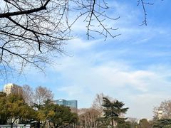 -红梅公园
