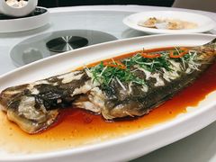 清蒸龙利鱼-千灯盛汇·头牌粤菜(致越优城店)