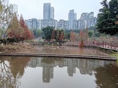 -沐仙湖湿地公园