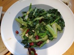 -鸽子窝(宋庄店)