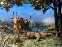 -国家自然博物馆