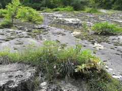 -青峰峡国家森林公园