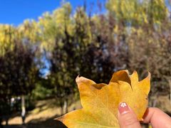 -永定河休闲森林公园