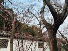 -汇龙潭