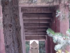 -张掖大佛寺景区