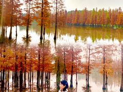 -白鹭湾湿地公园