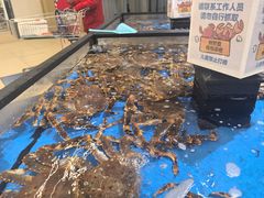 -盒马X会员店(王府井奥莱UP TOWN店)