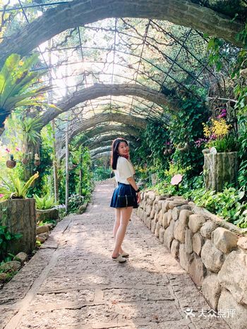 过江龙索桥-三亚网红美好爱情打卡点