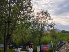 -西部长青自然儿童乐园