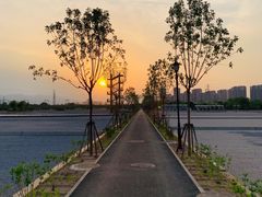 -永定河休闲森林公园