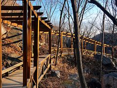 -大岭沟猕猴桃谷风景区