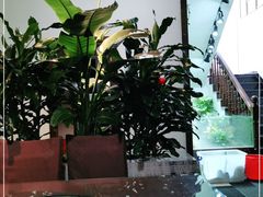 -滇之味菌王府(福建路店)