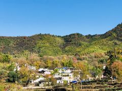 -塔川景区