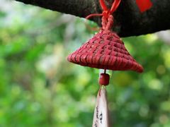 -呀诺达热带雨林