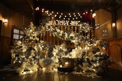 -迈瑞米求婚策划(静安店)