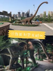 -恐龙探索乐园(磁器口店)