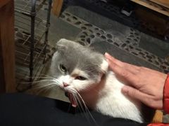 -尼玛藏家风味园(阿山食城店)