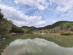 -广州白江湖森林公园