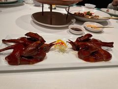 乳鸽-三号黄浦会Canton Table