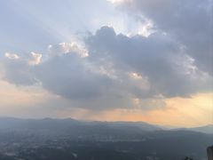 -长虫山生态公园风景林