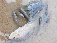 -南澳海滩