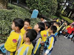 -Angel Garden天使花园幼儿园