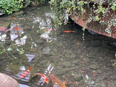 -金稼园·金平湖农家菜