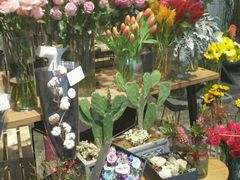 -植物学家的女儿(北马道巷店)