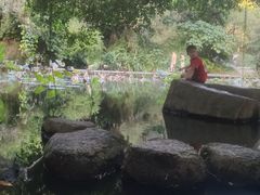 -燕晗山郊野公园