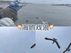 -银沙滩浴场