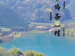 -龙坞茶村