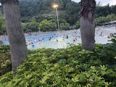 -重庆海昌加勒比海水世界