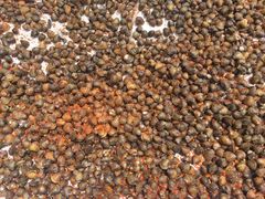 -Phsar Nath Market