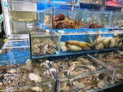 -岳各庄批发市场(西四环中路店)