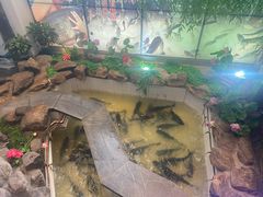 -春盛渔府(牛首山店)
