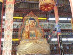 -南海禅寺