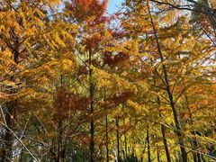 -杭州城北体育公园