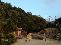 -灵光寺