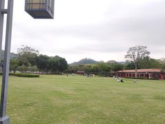 -顺峰山公园