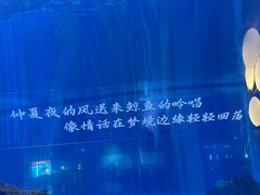 -重庆欢乐海底世界