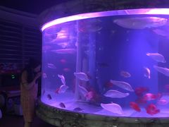 -印象·浅水湾(百乐门大厦店)