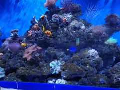 -成都浩海立方海洋公园