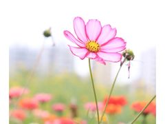 -潮州古城