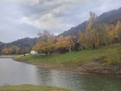 -千年银杏谷文化旅游区